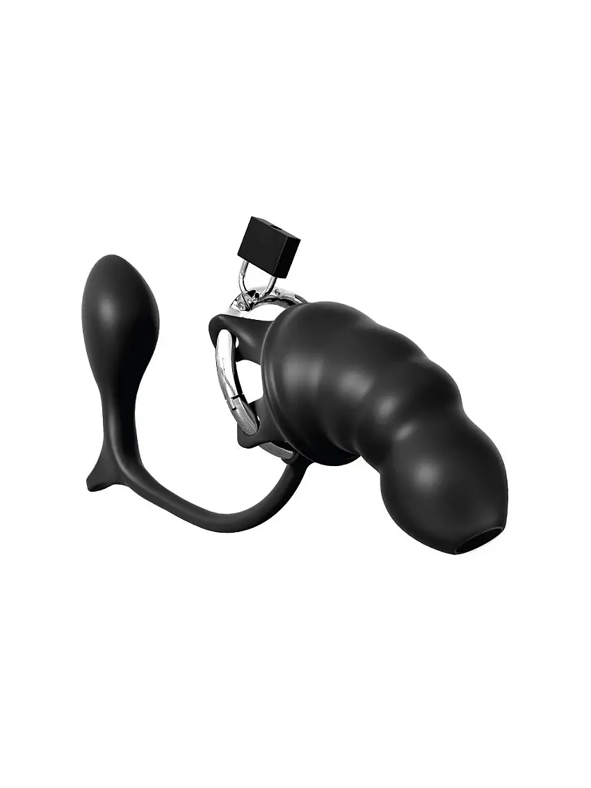 Cage de chasteté et plug anal Ass-Gasm Cock Blocker