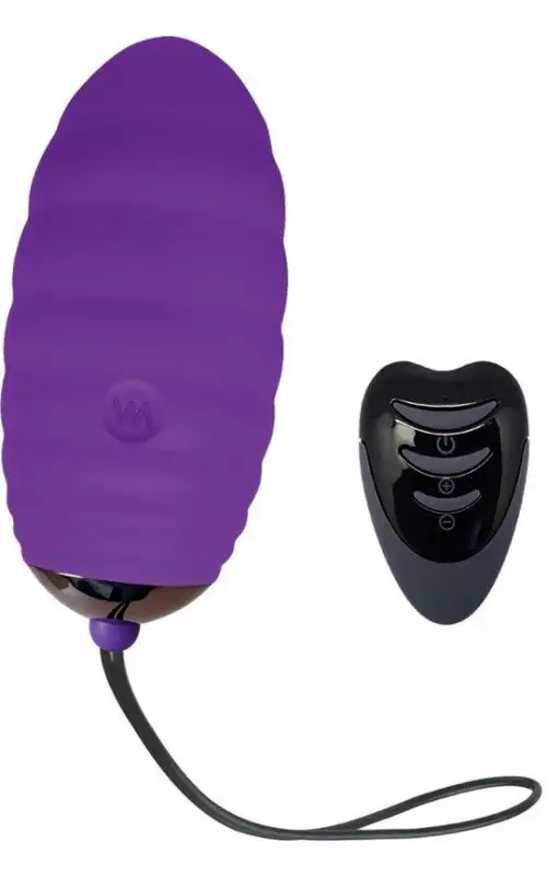 ADRIEN LASTIC - OCEAN BREEZE 2.0 OEUF VIBRANT RECHARGEABLE TÉLÉCOMMANDE VIOLET