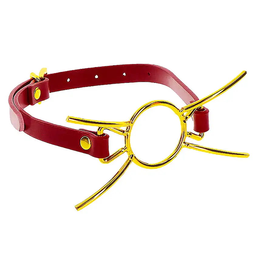 Bâillon Spider Gag