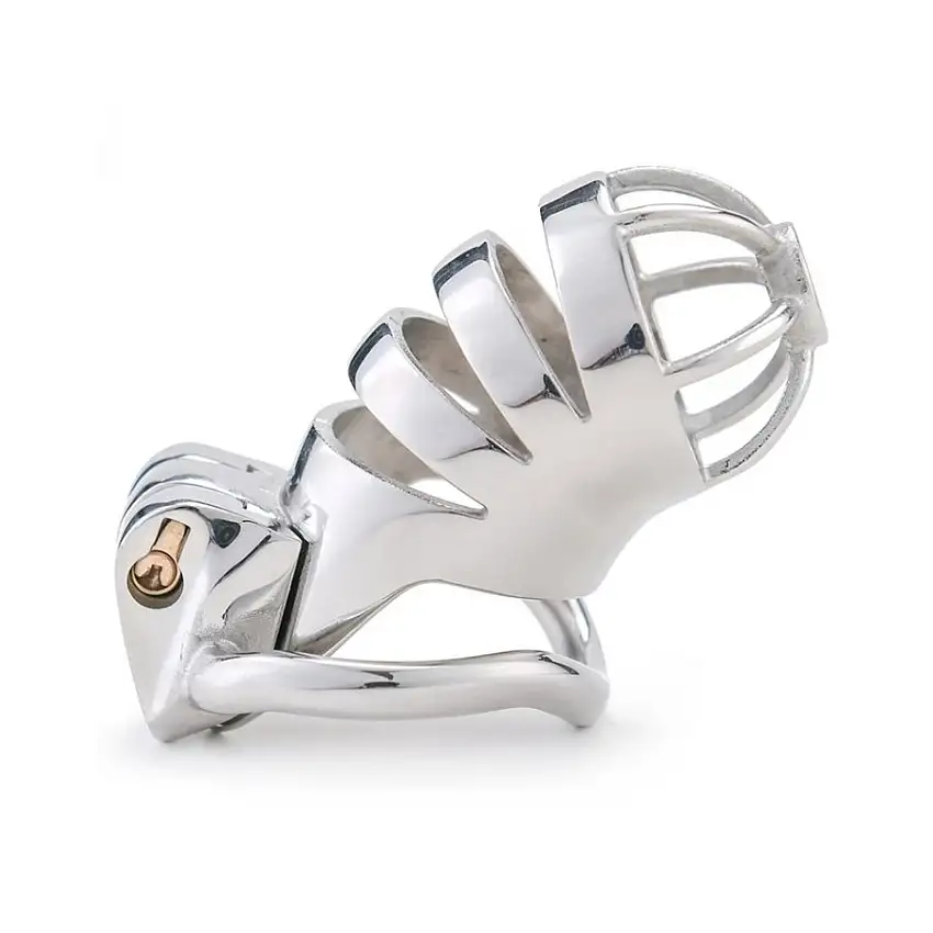 Cage de chasteté en métal BIRD UP 8 x 3.3cm