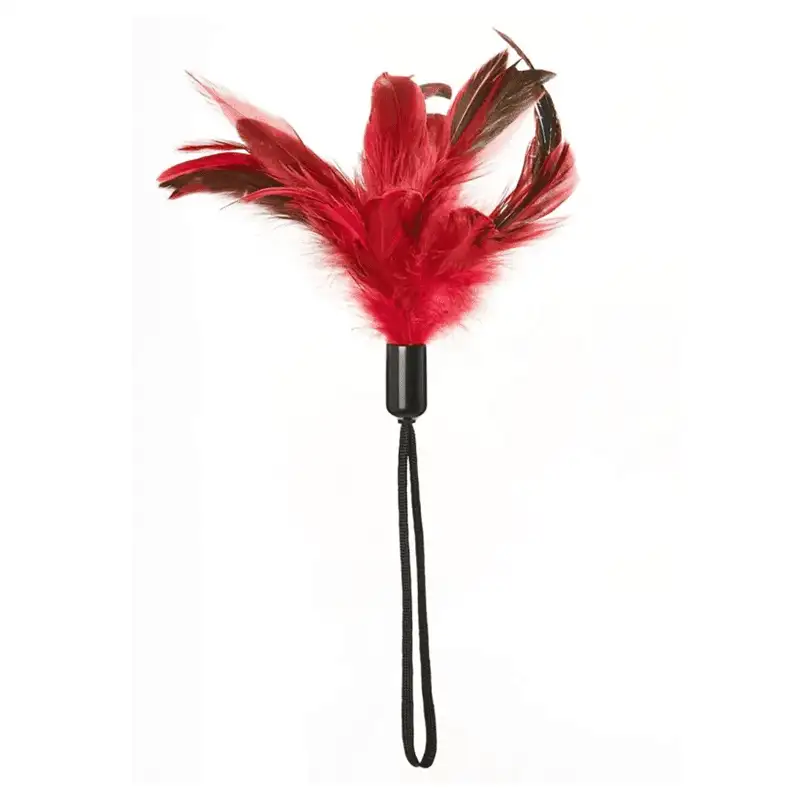 Sportsheets Pleasure Feather