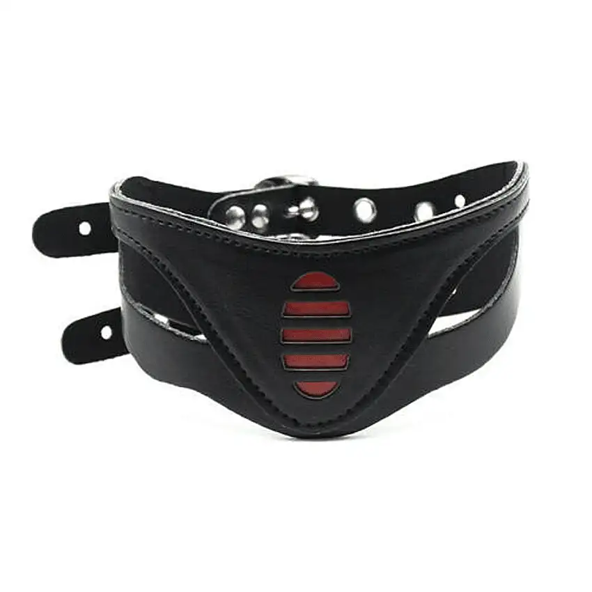 Collier noir avec deux sangles