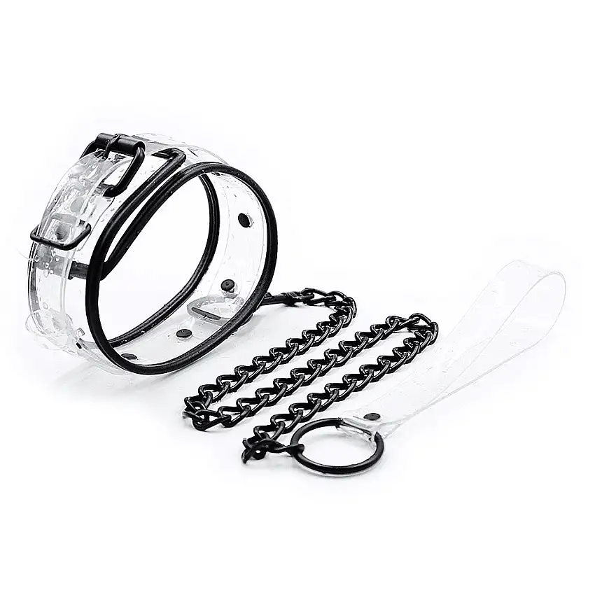 Collier et laisse Transparents